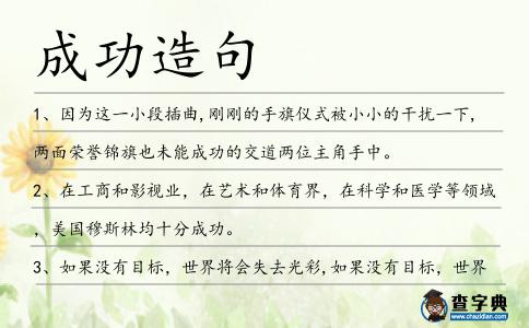 成功造句
