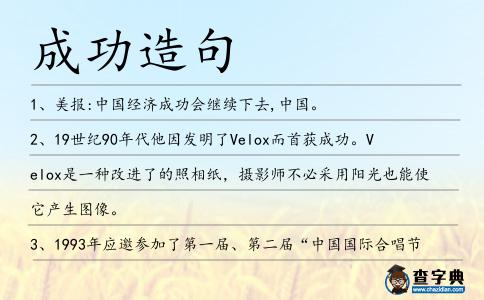 成功造句