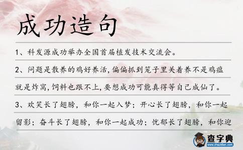 成功造句