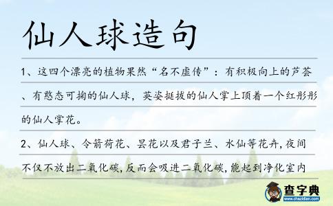 仙人球造句