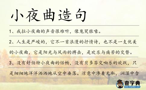 小夜曲造句