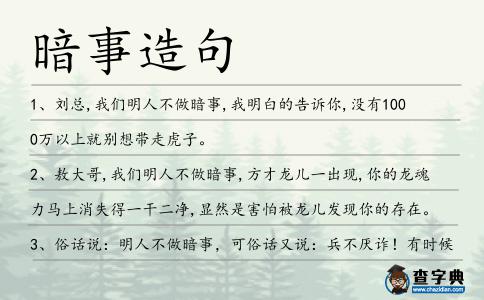 暗事造句