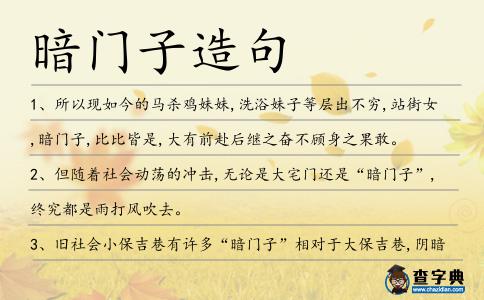 暗門(mén)子造句