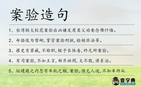 案驗造句