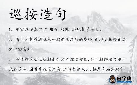 巡按造句