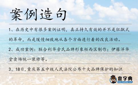 案例造句