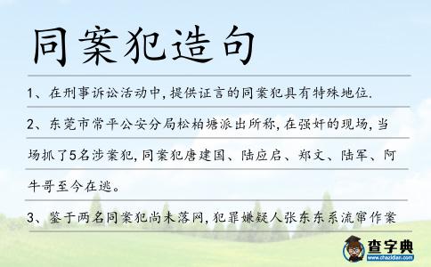 同案犯造句