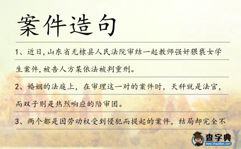 案件造句