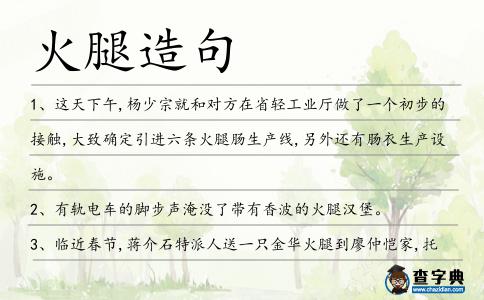 火腿造句