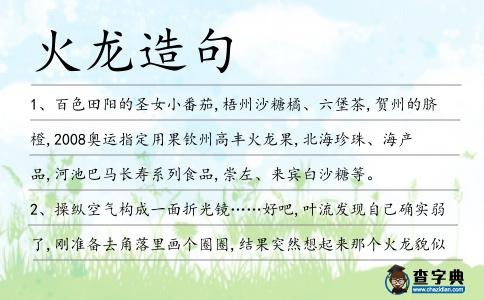 火龍造句