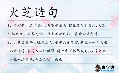 火芝造句