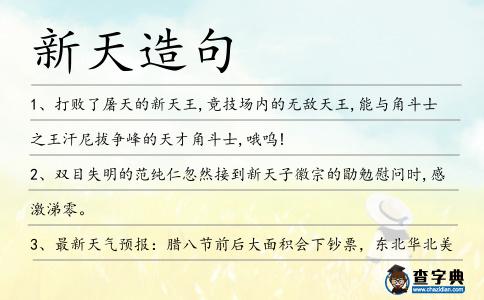 新天造句