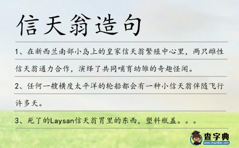 信天翁造句