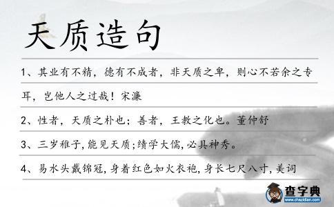 天質造句