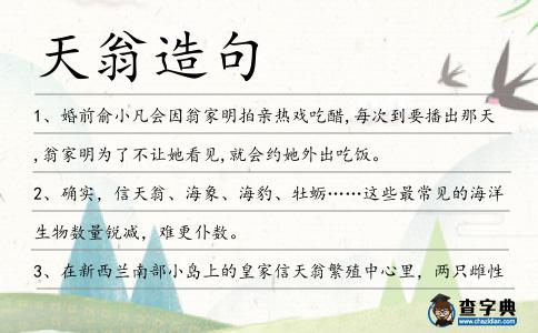 天翁造句