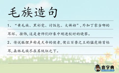 毛族造句