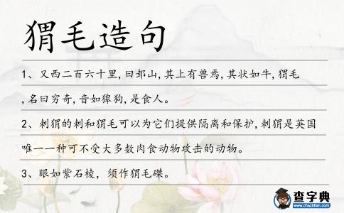 猬毛造句