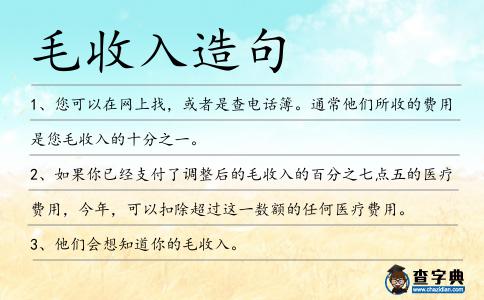 毛收入造句