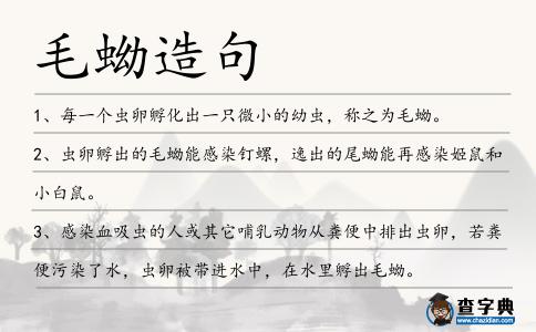 毛蚴造句