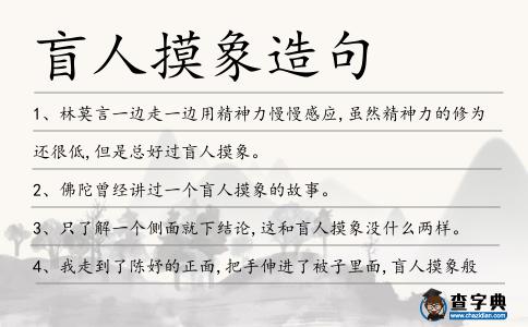 盲人摸象造句