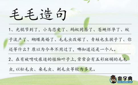 毛毛造句