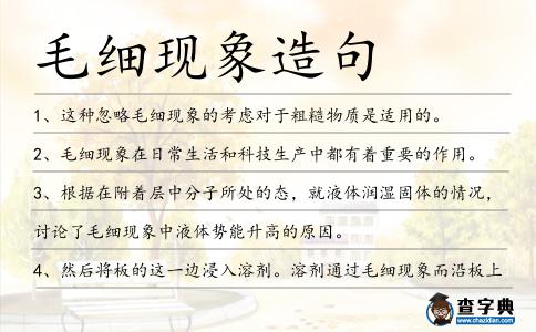 毛細現象造句