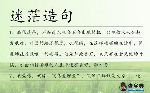 迷茫造句