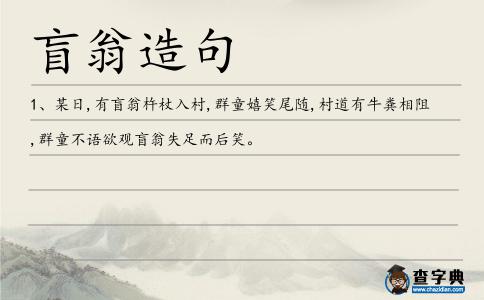 盲翁造句