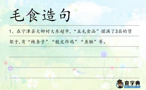 毛食造句