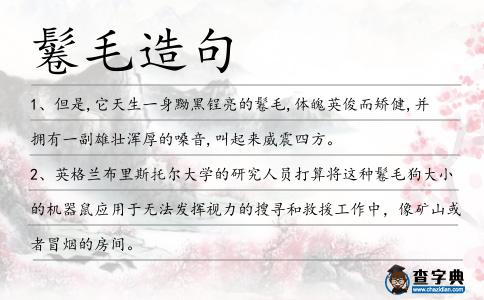 鬈毛造句