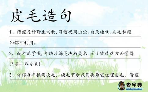 皮毛造句