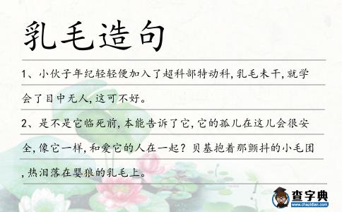 乳毛造句