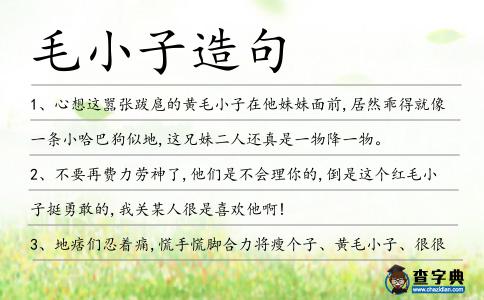 毛小子造句