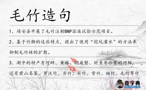 毛竹造句