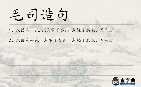毛司造句