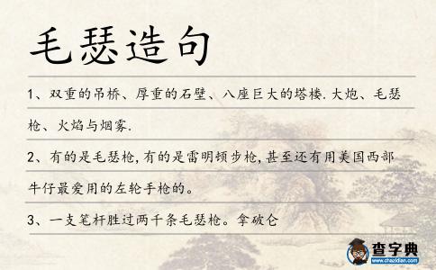 毛瑟造句