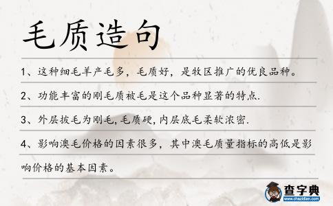 毛質造句