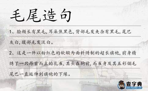 毛尾造句