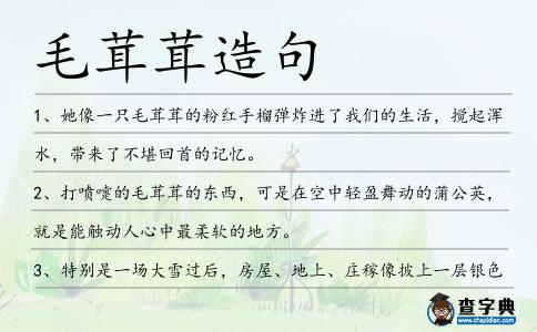 毛茸茸造句