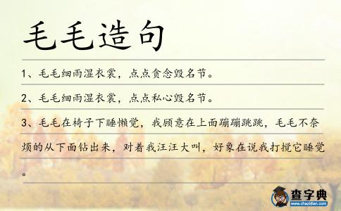 毛毛造句