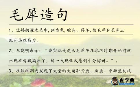 毛犀造句