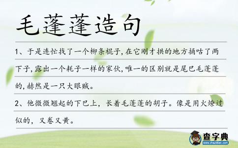 毛蓬蓬造句