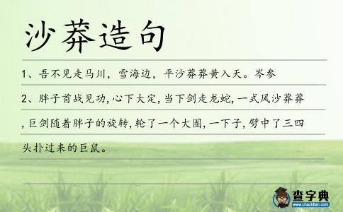 沙莽造句