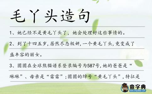 毛丫頭造句