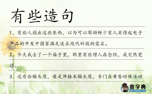 有些造句