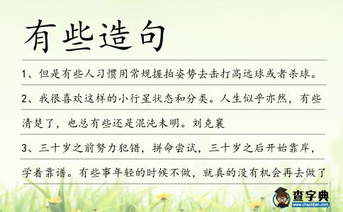 有些造句