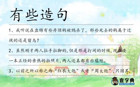 有些造句