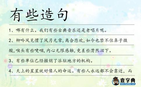 有些造句