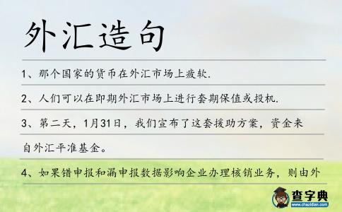 外匯造句