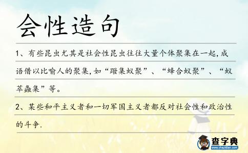 會性造句